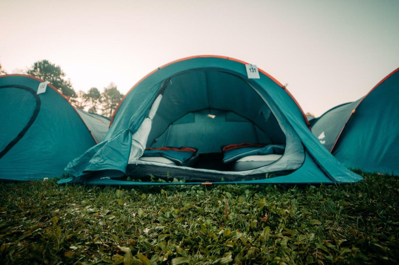 The Esn Kingsday Campsite Amsterdam Dış mekan fotoğraf